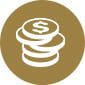 financial icon